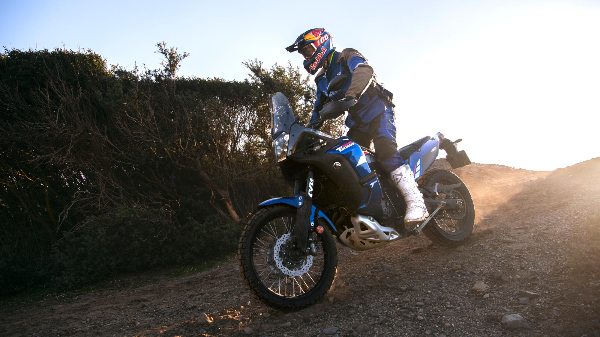 motorrijder rijdt op een blauwe adventure motor nar beneden op een onverhard pad met struiken ernaast