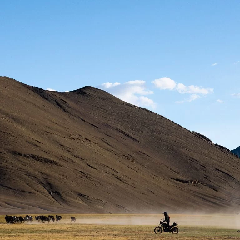 Himalayan rijdend over het landschap.