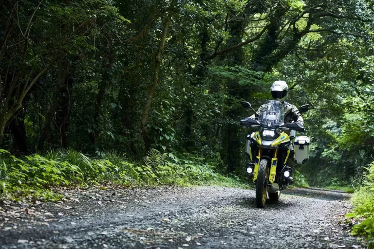 Suzuki motor rijdend in het bos.